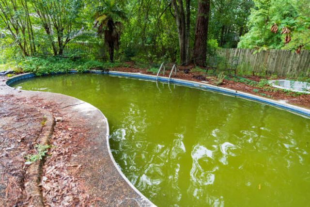 Green Pool Restoration featured image